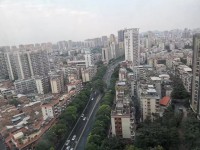 �_�����T